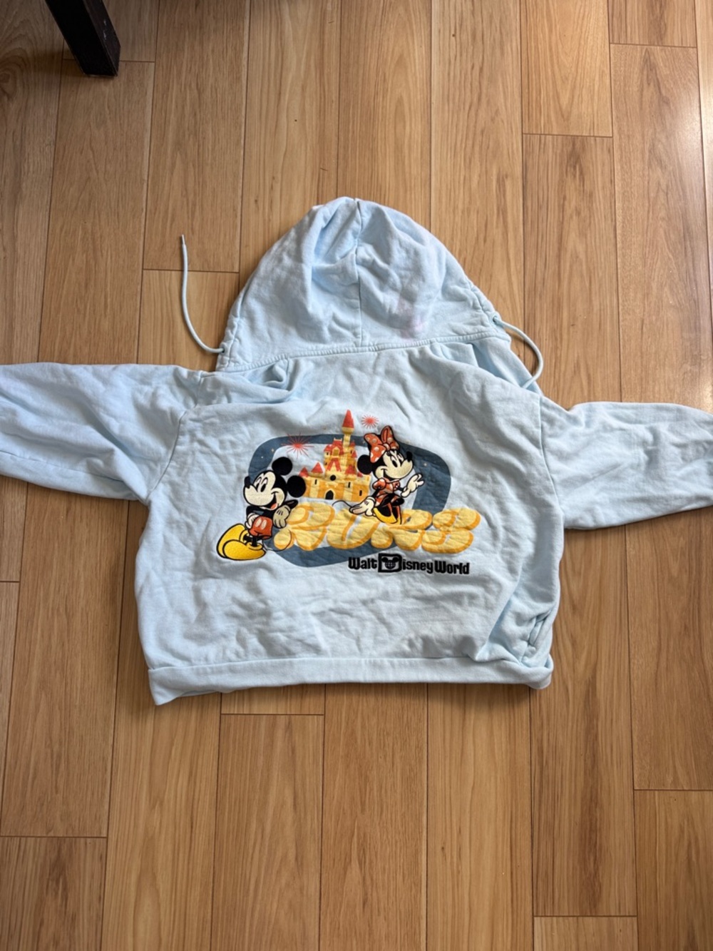 Disney 2023 Light Blue Hoodie with Mickey & Minnie Castle Graphic